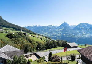 Apartment Penthouse Brugg