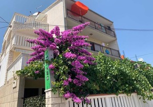 Apartment Per - 80 m from beach: SA3(3) - Marina, Riviera Trogir, Croatia