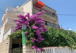 Apartment Per - 80 m from beach: A5(3) - Marina, Riviera Trogir, Croatia