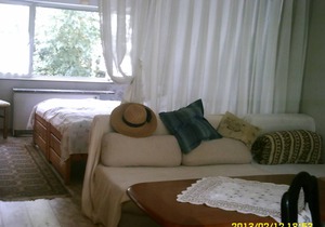 Apartment, shower or bath, toilet, living room/bedroom