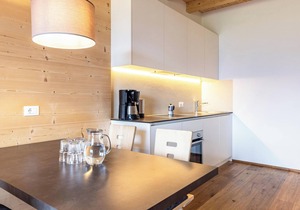 Apartment "Stefansdorf Wohnung 7" with Mountain View, Wi-Fi, Garden, Balcony & BBQ