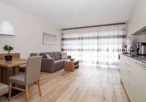 Apartment 'Sternblick Suite' with mountain view, balcony and Wi-Fi in the ApartHotel Christine