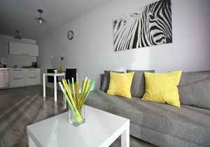 Apartment *Studio* P2 - Łazarza