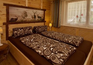 Apartment type C - Haus Sonneck