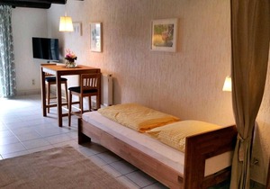 Apartment VII - Vacation apartments in a farmhouse - Property 44365