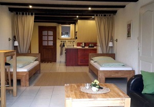 Apartment VII - Vacation apartments in a farmhouse - Property 44365
