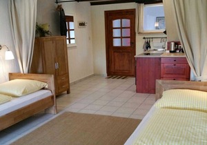 Apartment VII - Vacation apartments in a farmhouse - Property 44365