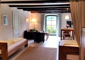 Apartment VII - Vacation apartments in a farmhouse - Property 44365