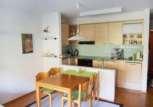 Apartment Vulpera in Vulpera - 4 persons, 1 bedrooms