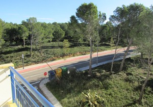 Apartment with pool and terrace overlooking pine forest, close to the beaches