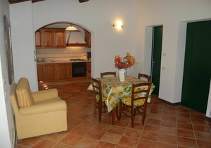 Apartment with pool, WIFI, TV, patio, pets allowed, panoramic view, parking, close to San Gimignano