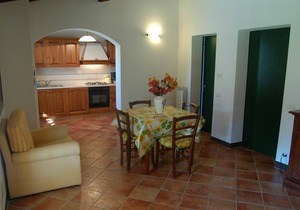 Apartment with pool, WIFI, TV, patio, pets allowed, panoramic view, parking, close to San Gimignano