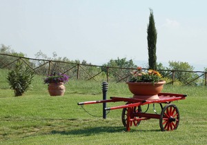 Apartment with pool, WIFI, TV, patio, pets allowed, panoramic view, parking, close to San Gimignano