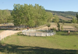 APARTMENT WITH POOL AND HANDLING IN AGRITURISMO