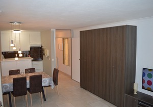 Apartment with sunny terrace