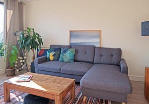 Apartment with terrace on the park Montsouris