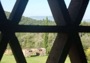 Apartment with WIFI, pool, TV, patio, pets allowed, panoramic view, parking, close to San Gimignano