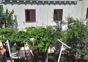 Apartments by the sea Prozurska Luka, Mljet - 4939