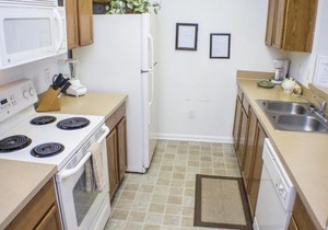 Apartments in FL, USA