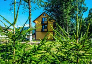 Apartments in Polyana