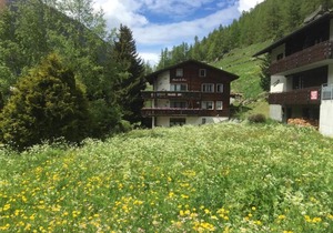 Apartments in Saas-Grund, Switzerland