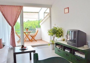 Apartments Ivan, (3331), Basina, Croatia