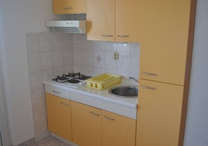 Apartments Janez