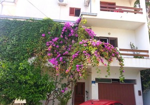 Apartments Nevenka, (2668), Sumpetar, Croatia