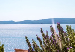 Apartments Petar