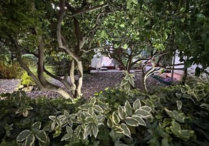 Apartments - Rooms VESNA