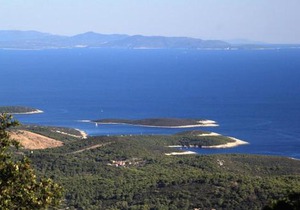 Apartments with parking space Rukavac, Vis - 8897