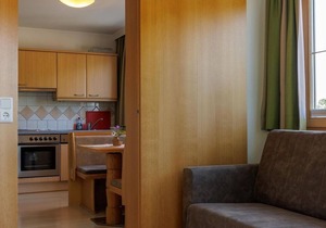App. 104 - 1 bedroom, living/bedroom, 2 bathrooms - Aparthotel Das Hochkönig