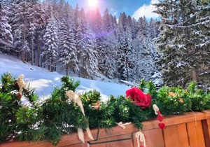 Appartamento Campiglio 2