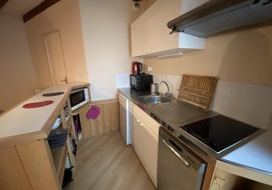 Appartement à 70m des Thermes du Saint Roch - FR-1-541-54