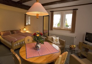 Appartement A1, 20qm, 1 Wohn-/Schlafzimmer, max. 2 Personen