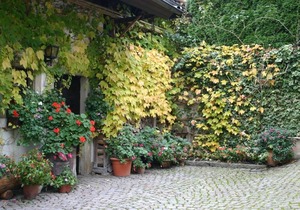 Appartement A4, 34qm, 1 Wohn-/Schlafzimmer, max. 2 Personen
