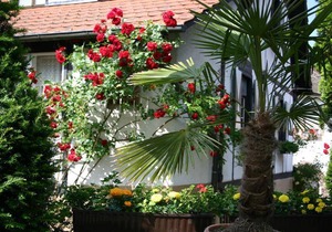 Appartement A4, 34qm, 1 Wohn-/Schlafzimmer, max. 2 Personen