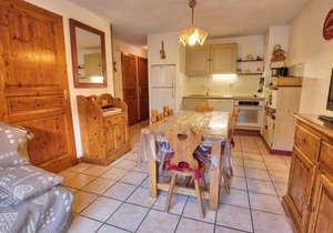 Appartement chaleureux 37m² au pied des pistes avec wifi et parking - FR-1-505-20
