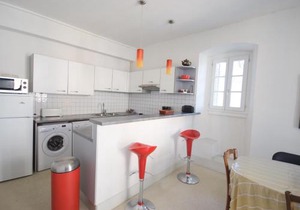 Appartement charmant avec balcon, wifi et animaux admis à Évian-les-Bains - FR-1-498-14