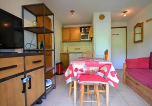 Appartement de charme au pied des pistes - FR-1-505-69