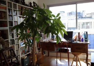 Appartement lumineux 4 pièces près du parc Montsouris