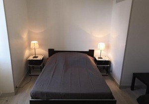Appartement rénové face aux Thermes, wifi, animaux OK, cour privée, pour 3/4 pers. à La Roche-Posay - FR-1-541-36