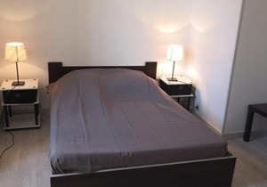 Appartement rénové face aux Thermes, wifi, animaux OK, cour privée, pour 3/4 pers. à La Roche-Posay - FR-1-541-36