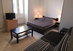 Appartement rénové face aux Thermes, wifi, animaux OK, cour privée, pour 3/4 pers. à La Roche-Posay - FR-1-541-36