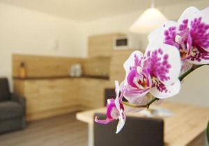 Appartment Charly