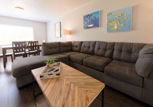 Apt 203 · Westshore South Tampa Apt