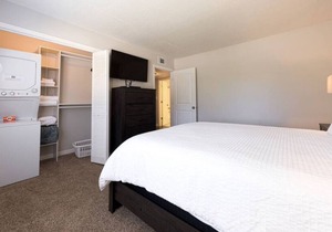 Apt 203 · Westshore South Tampa Apt
