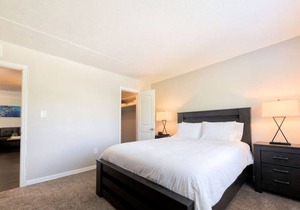 Apt 203 · Westshore South Tampa Apt