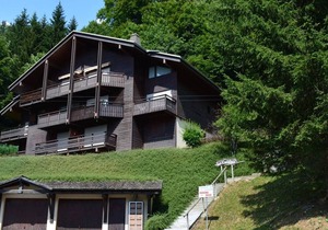 Apt 3 rooms, 7 pers, fireplace, garage, near slopes