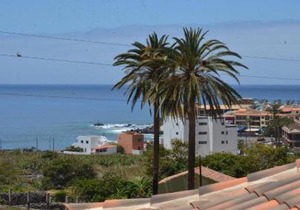Apt. Heliconia Nº 4